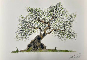 Olive Tree painting art 