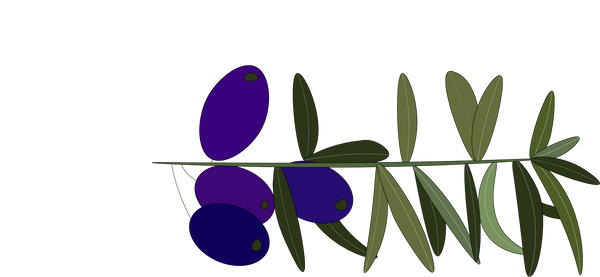 Growth Partner Structure