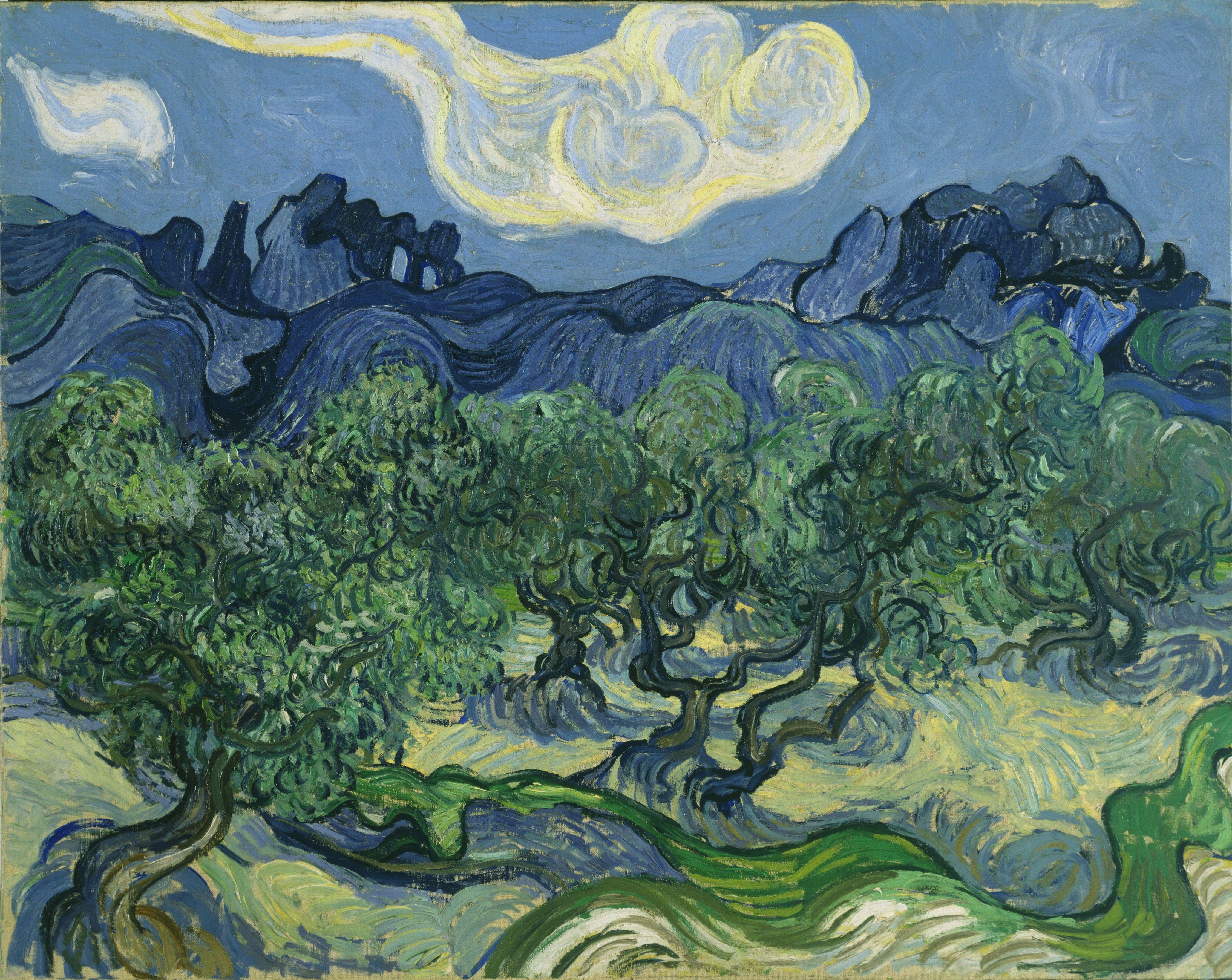 Van Gogh olive trees painting