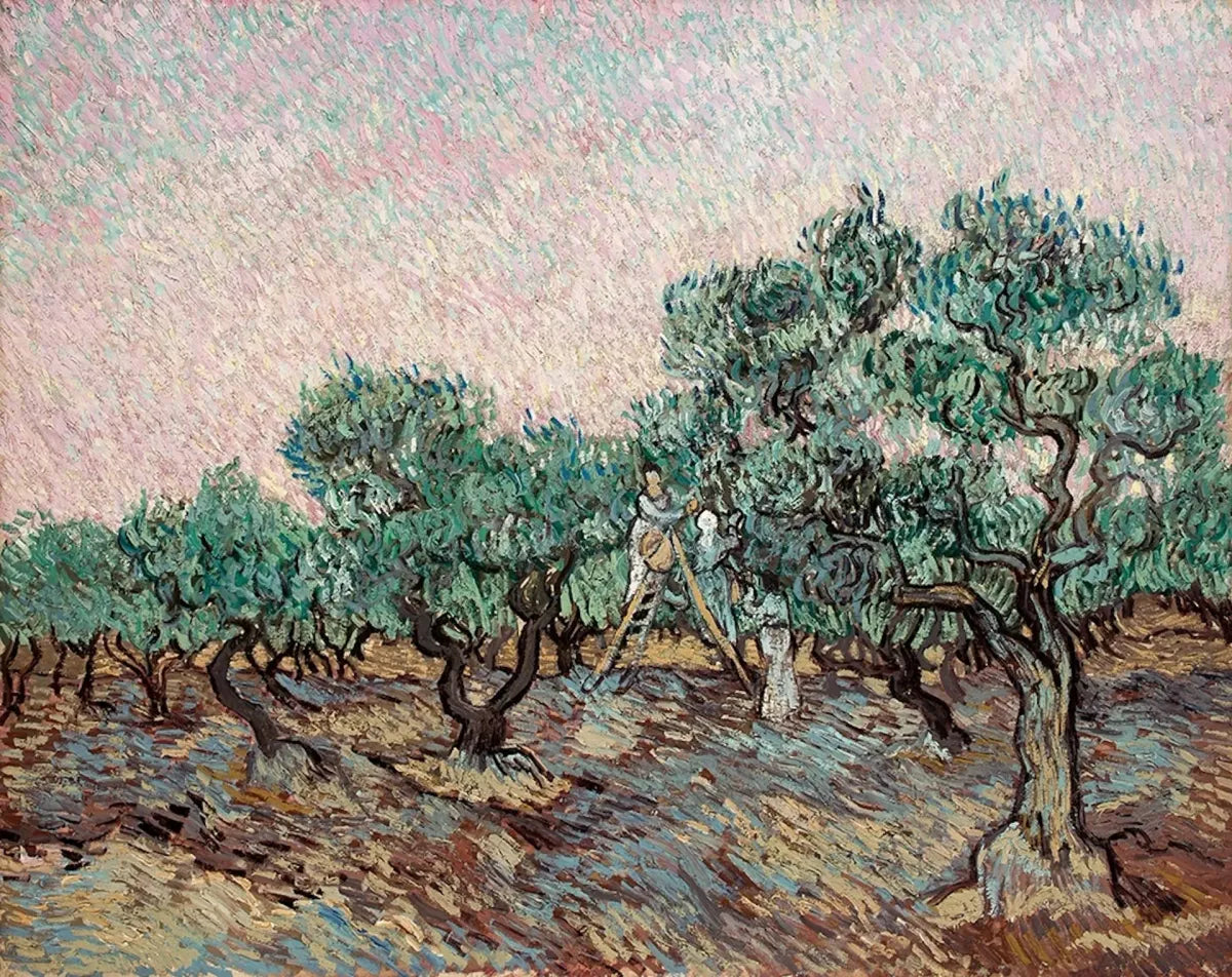 Van Gogh olive trees